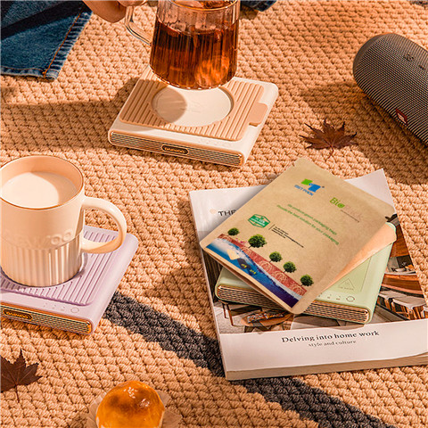 Bolsas de embalaje de té ecológicas personalizadas planas