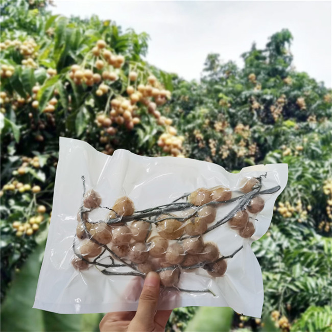 Bolsas de vacío de alimentos biodegradables para el hogar personalizadas